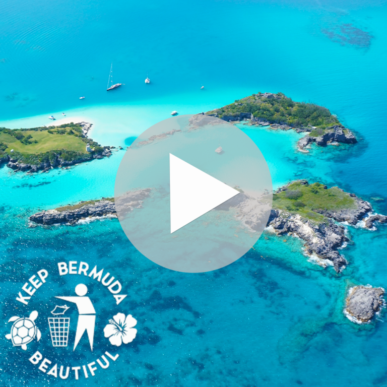 Traci Burgess is to leave her post as the executive director of Keep Bermuda Beautiful