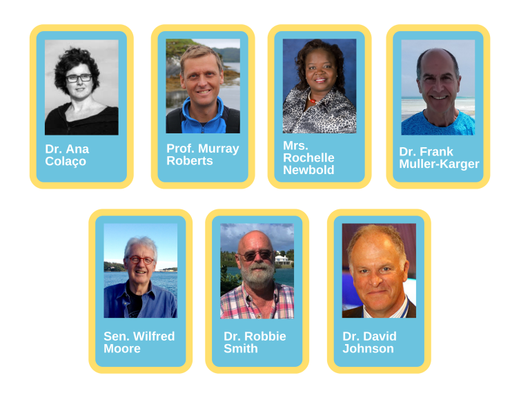 New faces on Sargasso Sea panel