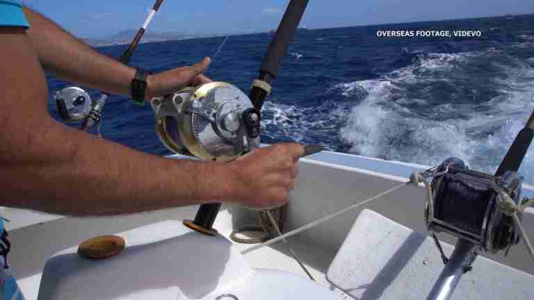 Gov’t commits to enhanced fish stock data collection
