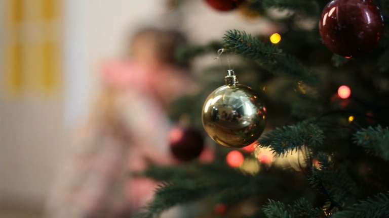 Health minister stresses mental well-being this holiday season