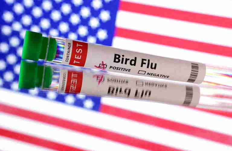 US reports first outbreak of H5N9 bird flu in poultry
