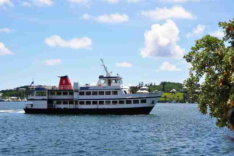 Ferry services suspended