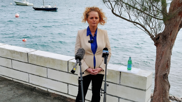 Independent Karen Hodgkins to run in C31