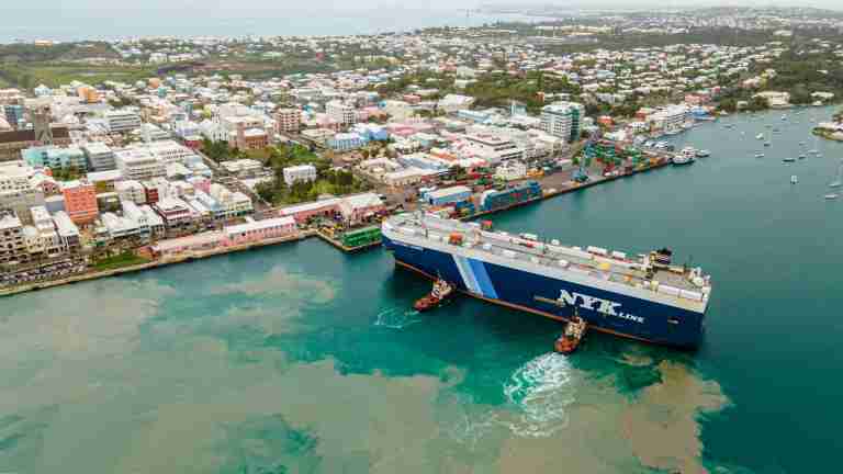 International Customs Day 2025