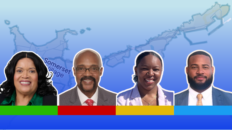 Candidate profiles: C36, Sandys North