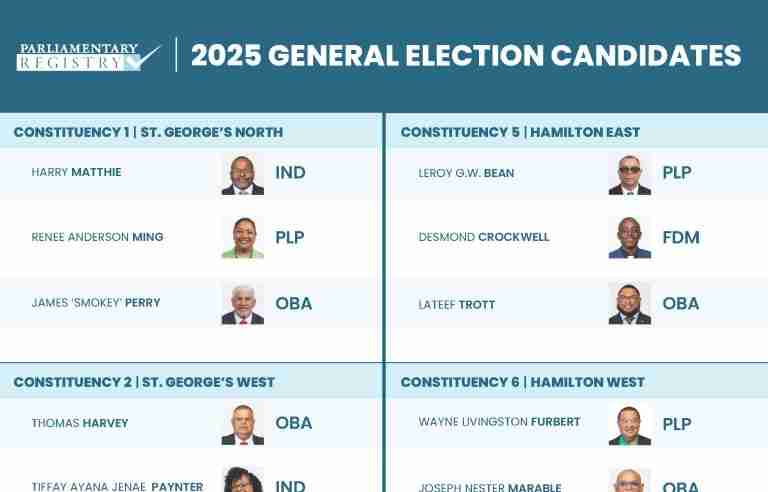 Election candidate numbers soar to 110