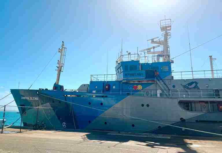 Anti-whaling ship stops in Bermuda ahead of next campaign