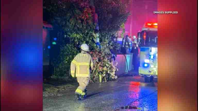 Bermuda Tonight – 11 March 2025