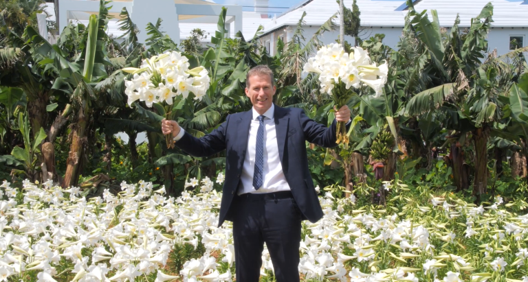 Bermuda Easter Lilies delivered to Windsor Castle