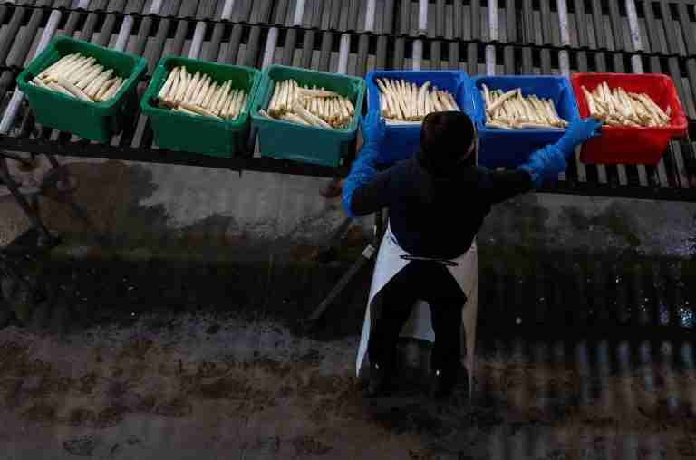 Foreign workers a key driver of euro zone growth, say ECB economists