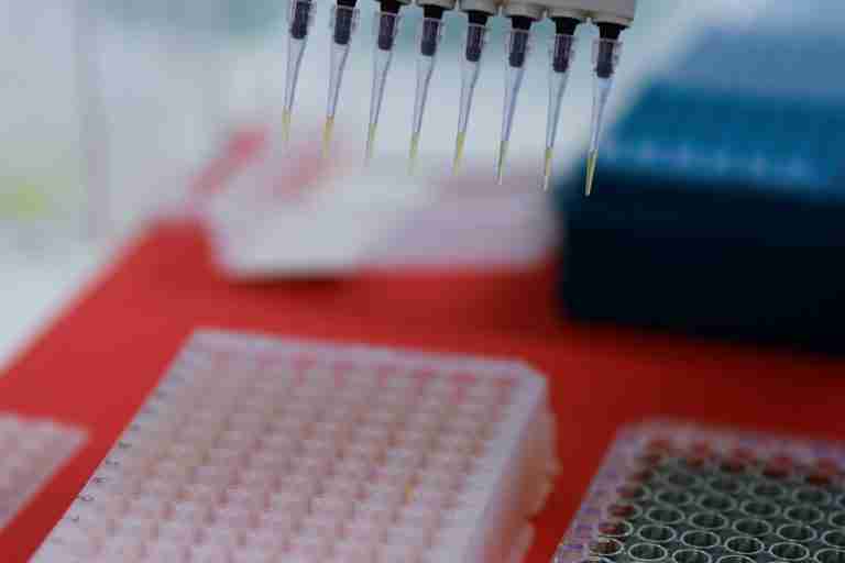 Brazil confirms first outbreak of avian influenza on commercial farm