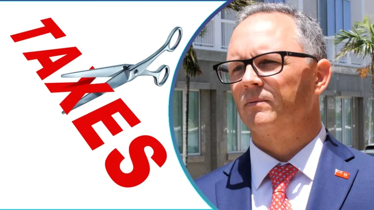 Tax cuts are not cutting it, says De Couto