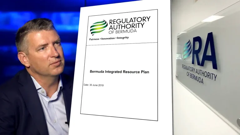 Blueprint for energy sector is not late, says RA