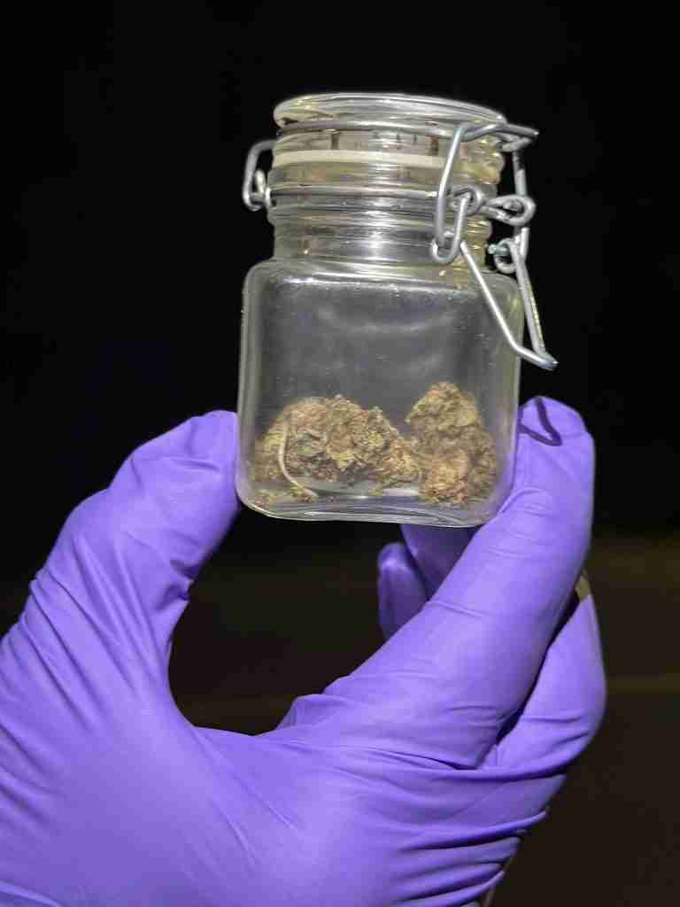 Multiple arrests and drugs seized this weekend