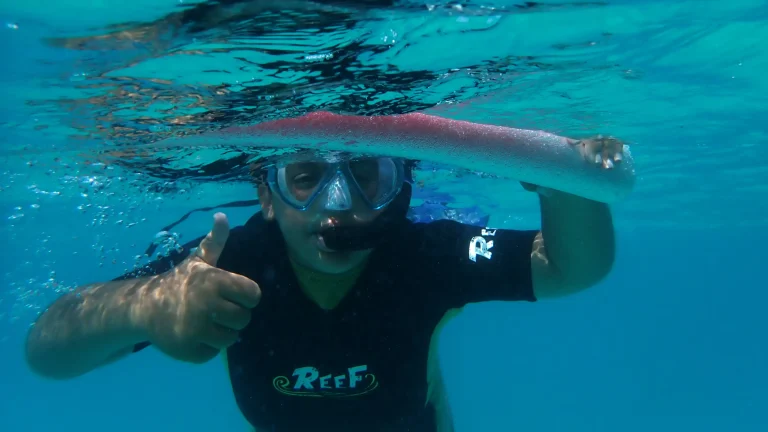 World Ocean Day activities at Aquarium