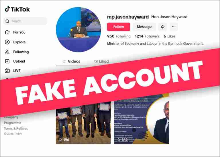 Minister the target of bogus TikTok account
