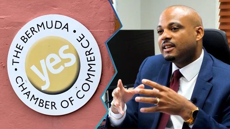 Minister takes Chamber to task