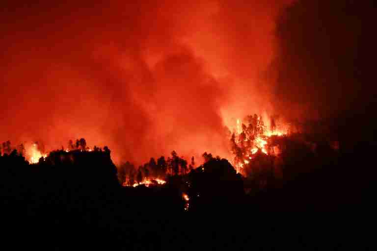 As US wildfires rage, firefighters clean toilets after Trump staff cuts, critics say