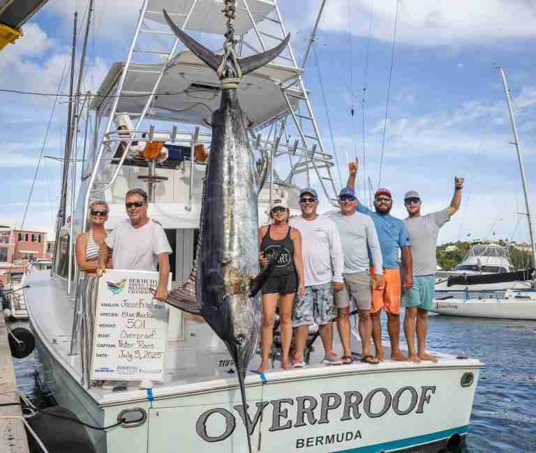 Team lands 501lb blue marlin to lead tournament