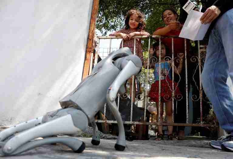 Robot dog in Mexico teaches animal kindness on the streets