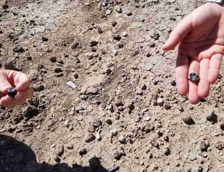 Ethiopian fossils reveal new species in human evolutionary lineage