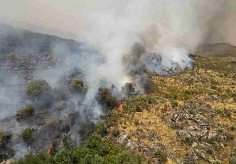 Firefighter injured in Portugal blaze as crew flees wall of fire