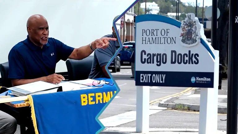 Union leader alleges threatening incidents at Hamilton Docks