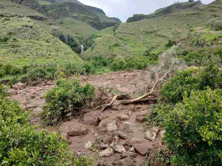 Plea for help after landslide wipes out Sudan village, killing 1,000