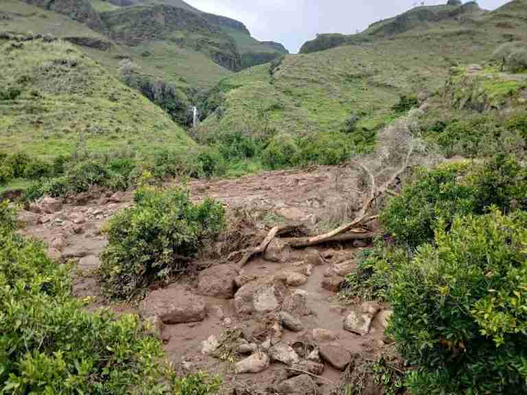 Plea for help after landslide wipes out Sudan village, kills 1,000