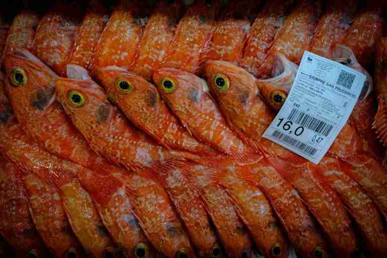 Deal to curb billions in overfishing subsidies comes into force at WTO