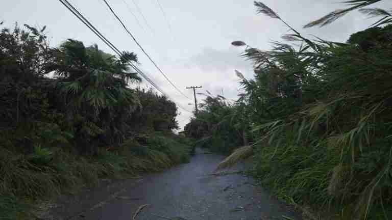 Ministry urges residents to ‘Trim It Back’ ahead of hurricane season