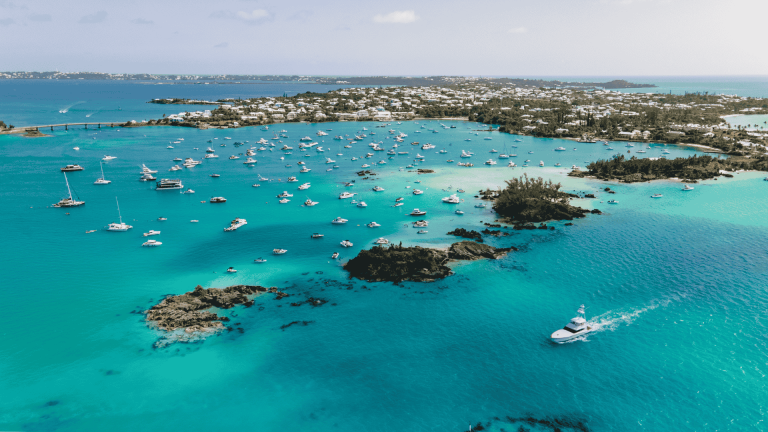 Tourism activity up in first quarter, BTA Reports