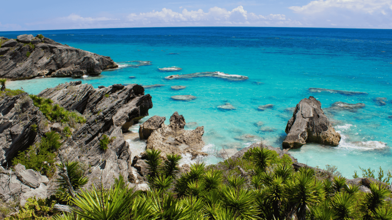 Protecting Bermuda starts with us, says Minister Adams