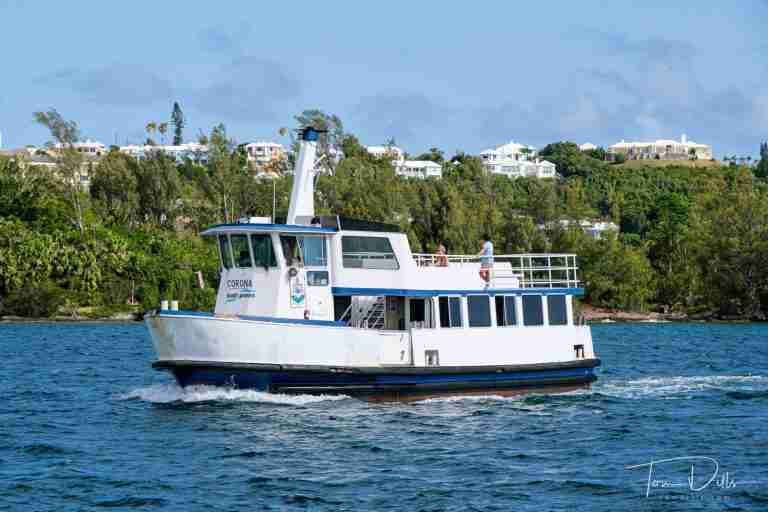 Pink Route ferry service shut down once again for urgent repairs