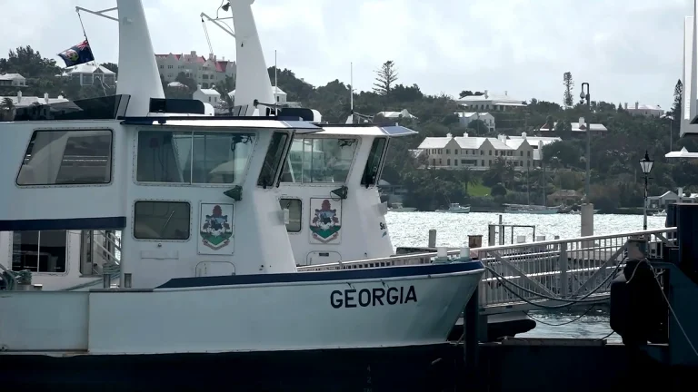 Pink ferry service resumes operation