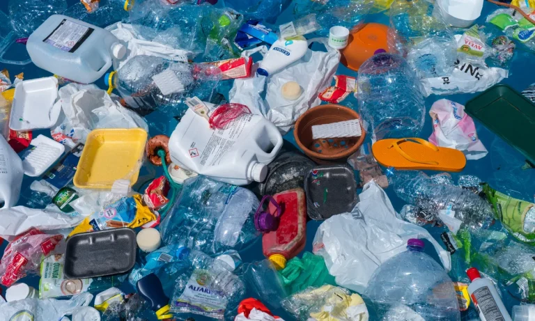 Opinion: Single use plastic legislation needs closer scrutiny 