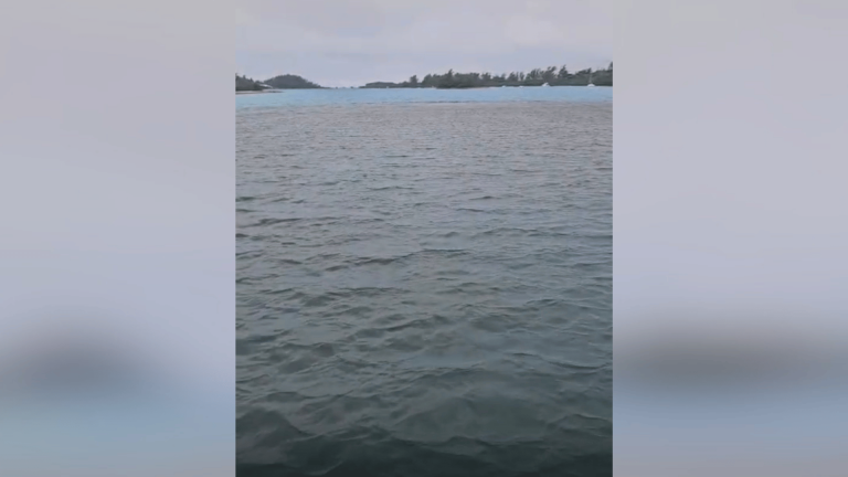 Brown water discharge in Ferry Reach under investigation