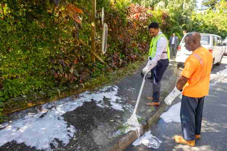 Plant-based foam and water machine to tackle roadside vegetation