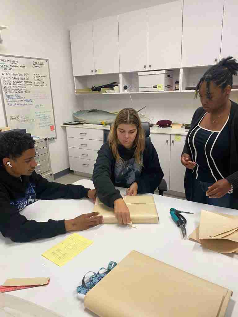 National Museum of Bermuda seeks paid graduate intern