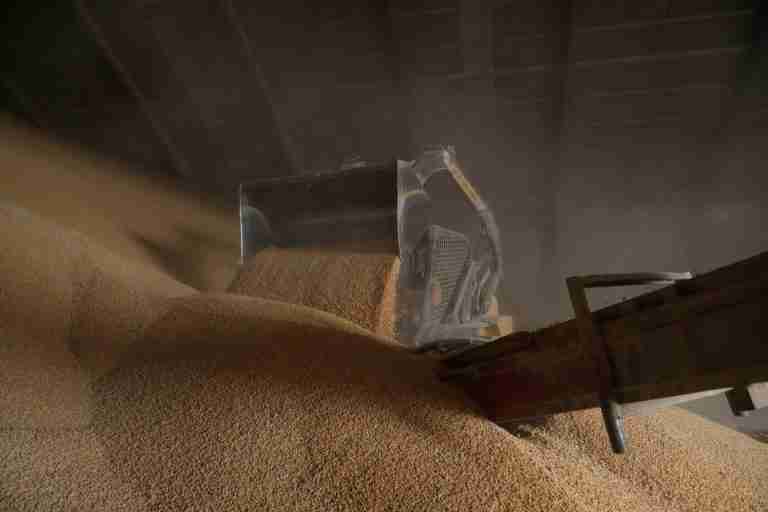 World food prices slip in May, still near three-year high, FAO says