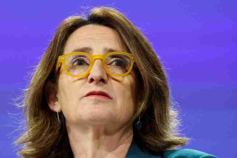 EU antitrust chief urges EU countries to back cross-border bank deals