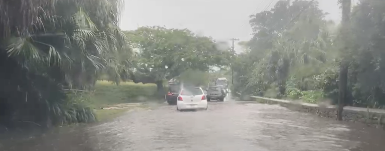 Heavy downpour leads to flash flooding