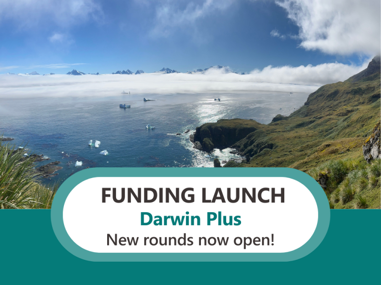 Applications open for Darwin Plus environment fund