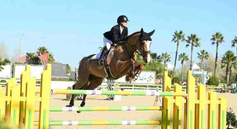 Bermudian show jumping star rising through the European ranks