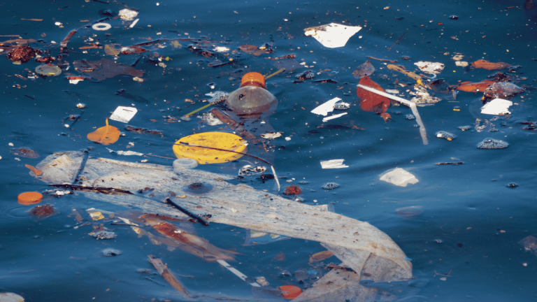 Single-use plastics bill ‘hugely impactful’