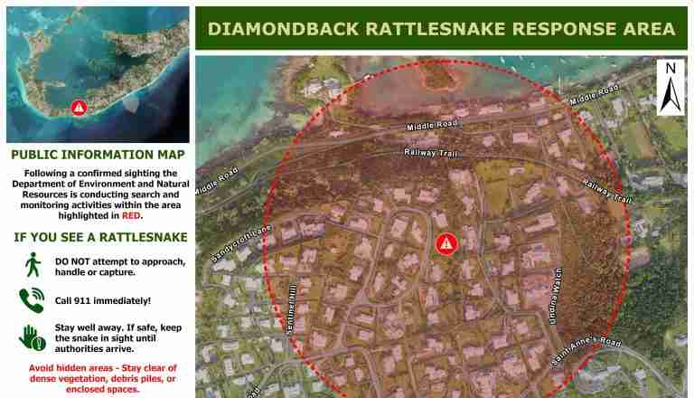 Authorities continue to seek out ‘highly venomous’ Eastern Diamondback Rattlesnake