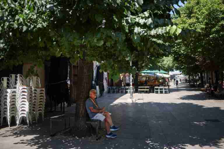Europe may face ‘more deadly weeks’ as new heatwave builds, WHO warns