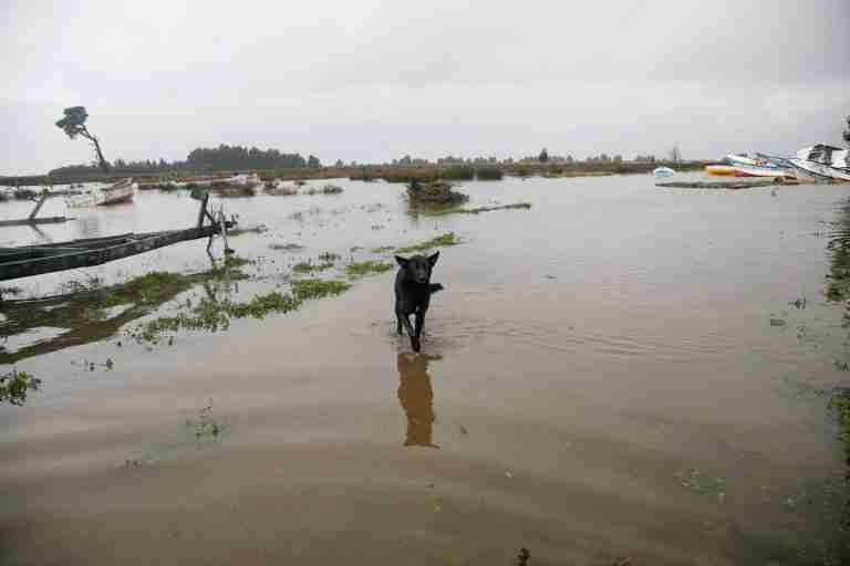 Chile storms kill three, displace hundreds as heaviest rains expected