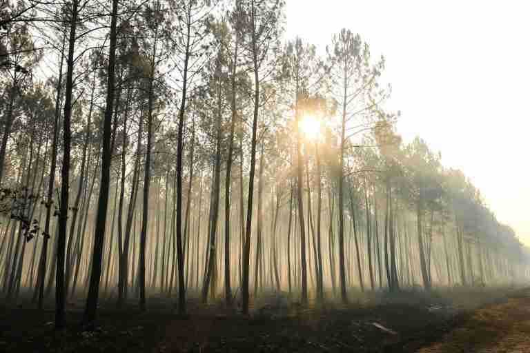 France and Spain fight to contain wildfires as temperatures soar again