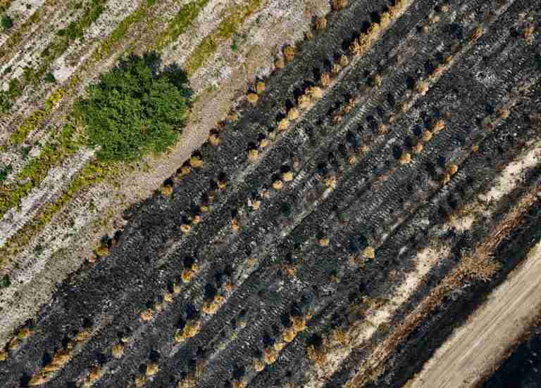 Three Greek firefighters killed as wildfires strike further east in Europe